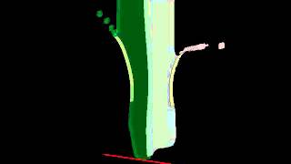 Multi-Fluid Structural Interaction - FSI