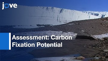 Microbial Eukaryotic Enrichment Cultures: Chemically Stratified Antarctic Lake l Protocol Preview