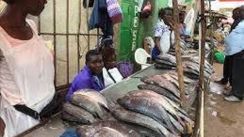 Kisumu fish consumers, traders say ''Chinese fish'' not as tasty as ''Kenyan fish''
