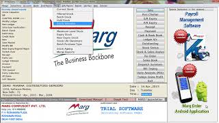 Stock Valuation Report Tutorial Marg Software Hindi YouTube