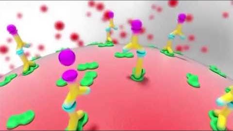 Luminex’s xMAP® Technology