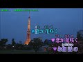 ふたりの東京:山本譲二&真木ことみ/女性パートcover 雅