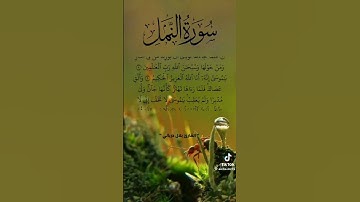سورة النمل ☑لقارئ بلال دربالي❤ قناة نور على نور للقران الكريم ✅