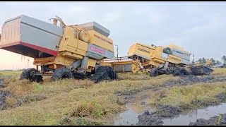 MESIN PADI 8080 VS MESIN PADI 8080