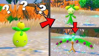 How to find Smoliv and Evolve it into Dolliv then Arboliva in Pokemon Scarlet & Violet