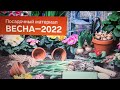 САД 2022.Сима Ленд.Скидка на Игрушки.