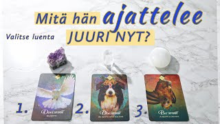 MITÄ HÄN AJATTELEE SINUSTA - JUURI NYT? 💓 🌟 Ajaton valise kortti -luenta 🌈✨