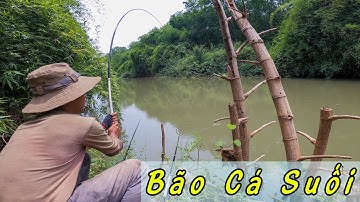 Câu suối cần tay giật toán bự - vét cá còn sót lại mùa trước ✅