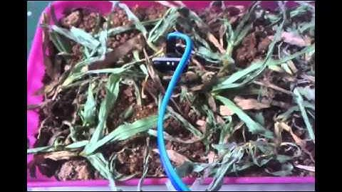 Agricultural Field And Plant Health Investigator(Agridrone)-NIYANTRA 2015