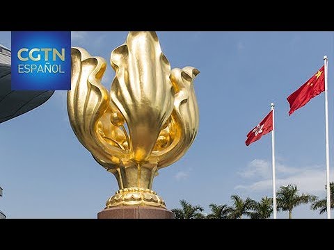 Hong Kong señala que la región se enfrenta a un nivel de violencia nunca visto noticias diarias peru