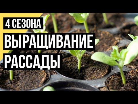 Четыре сезона. Выращивание рассады разных видов овощей. Комплексная программа