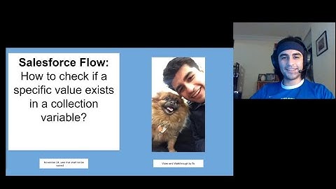 Salesforce Flow -  How to check if a specific value exists in a collection variable?