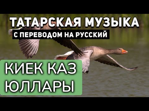 Татарские песни с переводом на русский I Киек каз юллары  I Артур Хасанов, Филюс Кагиров