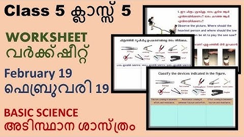 Class 5 Victers Channel Basic Science Worksheet|class 5 victers today|victers channel class 5|#class