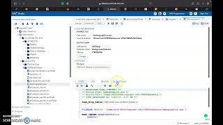 SAS Basic Data Translation