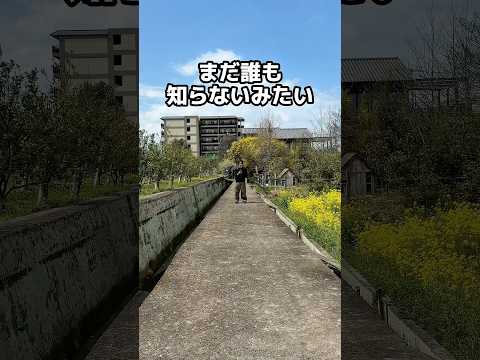 【最新ガジェット】20m先の声も拾ってくれるAIボイスレコーダー