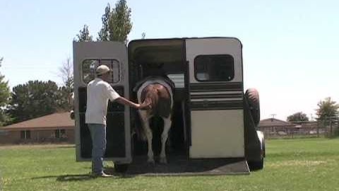 Trail horse loading in the trailer gaited gelding foxtrotter for sale