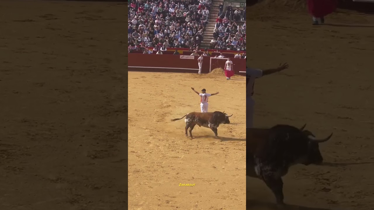 Concurso de recortes castellon