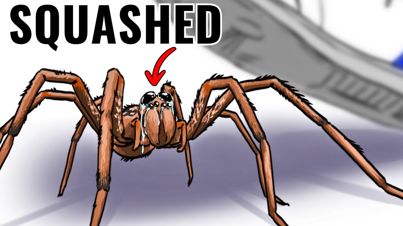 Почему ужасно родиться пауком-волком (безобидным гигантом)