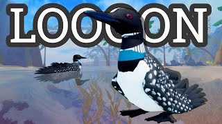 LOONS are NOW on Feather Family!!