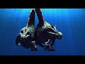 Spinosaurus clip 5