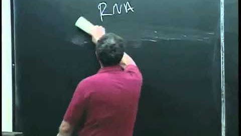 Dynamic programming for RNA folding.