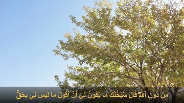 من روائع الشيخ محمد الغزالي - تلاوة تخشع لها القلوب من سورة المائده