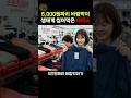 5,000원 짜리 바람막이 생태계 씹어먹은 다이소