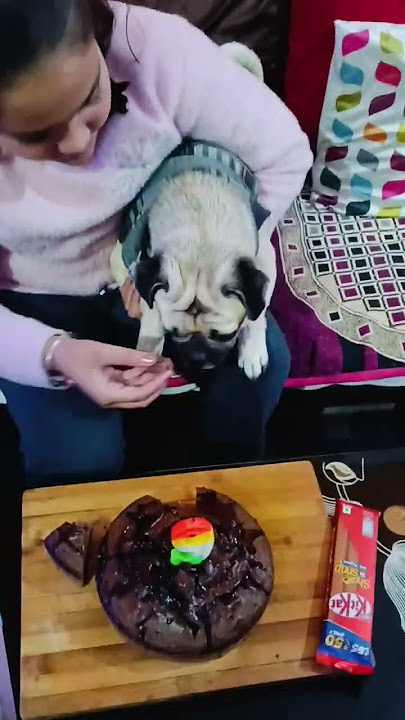 9ko ignore krna gyes 😂😀#viral #trending  #shorts #doglife #cutepug