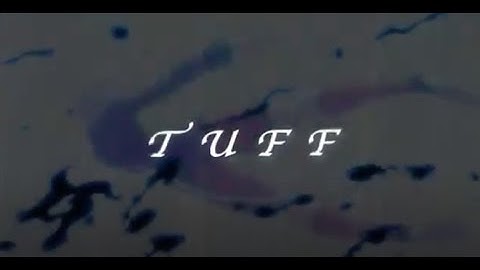 FATHER OF BAPHOMET SNIPPET // AMV