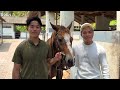 【バリ島③】ホースライディングに挑戦