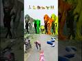 Big dinosaur chase T-rex chasingpart -1482#shorts #dinosaur#youtube#dinosaurs #superman#ddininner🐯🦣🦖