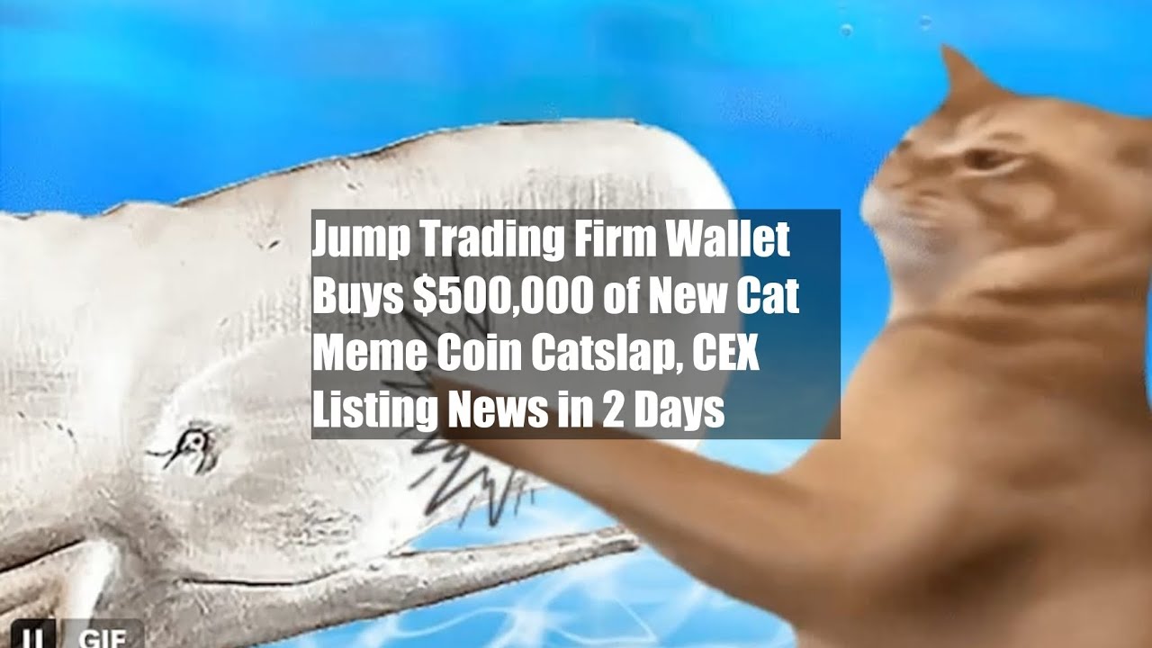Jump Trading Firm Wallet Buys $500,000 of New Cat Meme Coin
