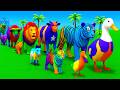 Long Slide Game With Elephant Gorilla Buffalo Hippopotamus Tiger - 3d Animal Game - Funny 3d Animals