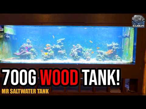 Building a 700-Gallon DIY Plywood Aquarium: Is It Possible? | Mr. Saltwater Tank