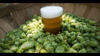 Infinity Brewing Kickstarter