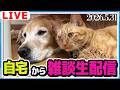 自宅からおやつでも食べながら雑談&質問募集ライブ