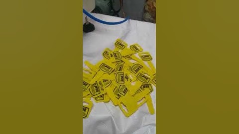 Biscuit cover pad printing machine - Pourav Pad Printing Technology