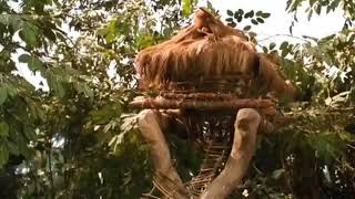 lagu engkau lah jiwa ku versi tupai