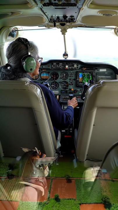 Grandmother and goat went on a trip by plane 😭 #goat #animals #grandmother