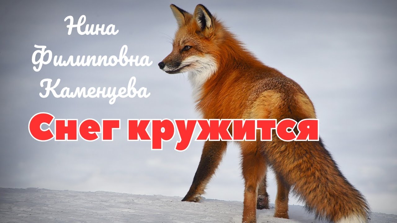 Снег кружится! | Нина Филипповна Каменцева