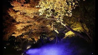 少し遅めの秋の訪れ