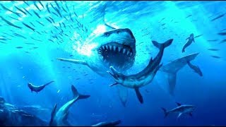 ТОП 10 АКУЛ САМЫХ БОЛЬШИХ НА ПЛАНЕТЕ ТОП 10 АКУЛ САМЫХ БОЛЬШИХ НА ПЛАНЕТЕ