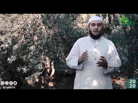 قصة دعاء 2 يا حي يا قيوم برحمتك أستغيث