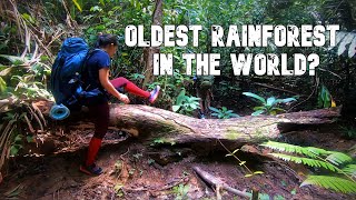 [PART 1/2] HIKE & CAMP @ Taman Negara Pahang | CAMP IN A CAVE | Oldest Rainforest In The World