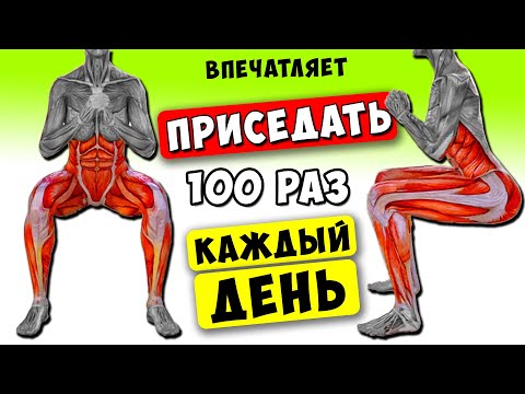 Вот что Произошло с Моим Телом, Когда Начал Приседать 100 Раз Каждый День...