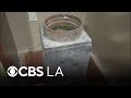 Long Beach pizza joint raffling off old safe found during renovation