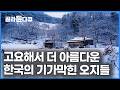 버스 정류장까지 1시간 반. 소백산 자락 시간이 멈춘 곳에 살아가는 사람들|오지의 아름다움|한국기행|#골라듄다큐