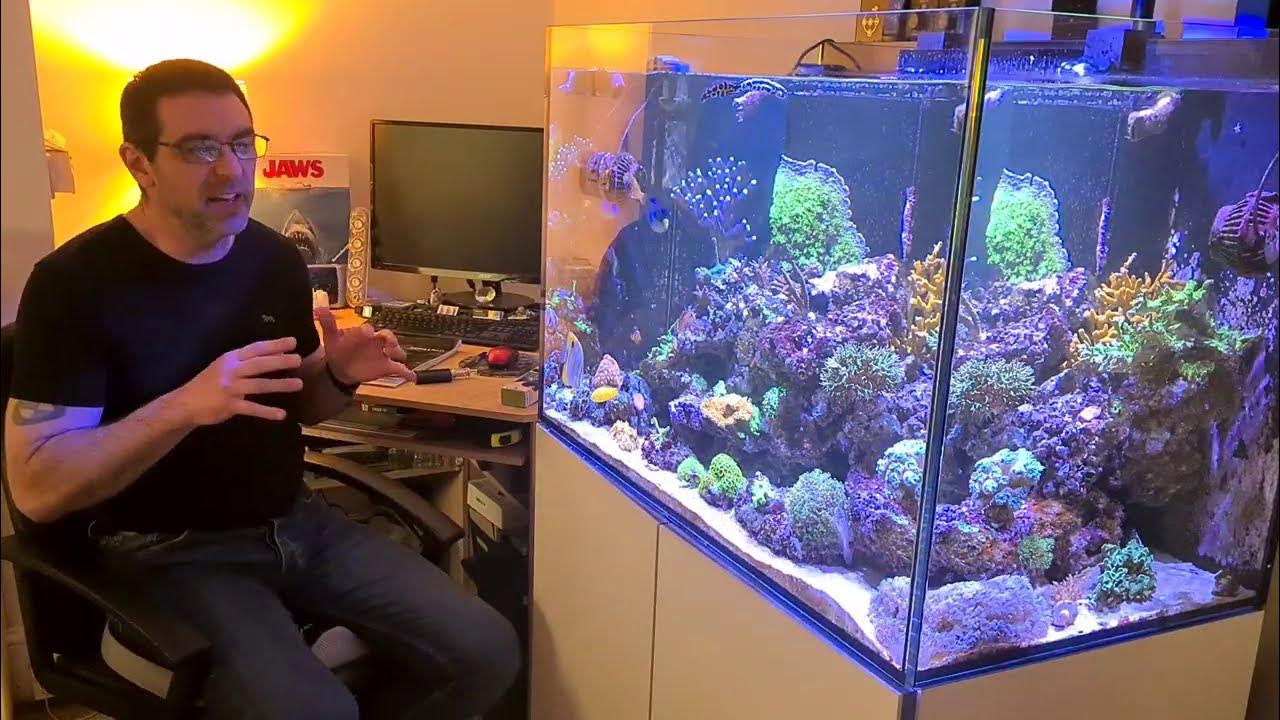 Going to war with green hair algae and bryopsis in a reef tank. YouTube