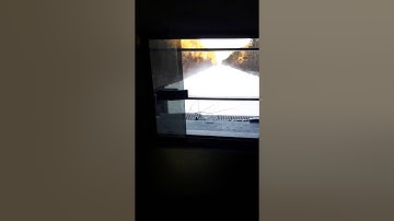 NB logging road, Nov.16 2019